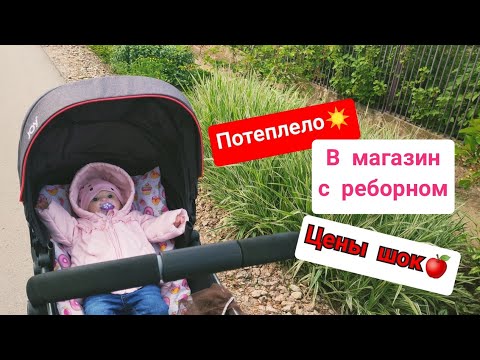 Видео: День с реборном Прогулка с реборном Кормление реборна 13/05/23 #reborn