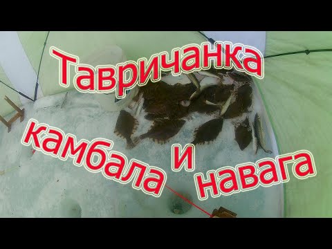 Видео: Тавричанка мелики, ловля камбалы и наваги.