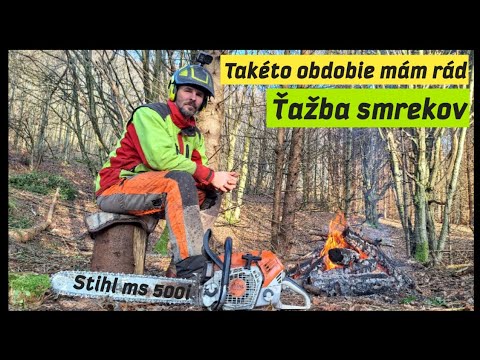 Видео: Мне нравится такой период - Вырубка ели и отделка стенда, STIHL MS 500i, Амлес, Лесные работы.