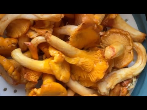 Видео: Сегодня у нас штормит код оранжевый я на кухне готовлю кушать вкусно