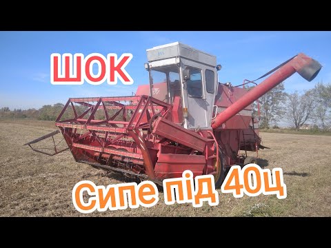 Видео: Домолочуєм сою! 💵 за скільки змолочу 3га. добиваєм усе.