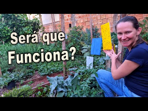 Видео: Тестируем новую технику защиты сада🌱