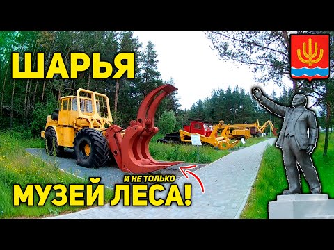 Видео: Шарья. Музей ЛЕСА под открытым небом! Достопримечательности города. Что посмотреть?