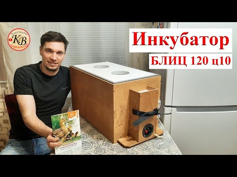 Видео: ИНКУБАТОР БЛИЦ 120 Ц10 // Приобрели второй инкубатор блиц!