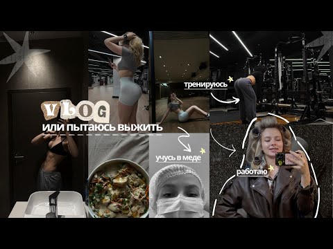 Видео: стараюсь жить, а не выживать // осенний vlog