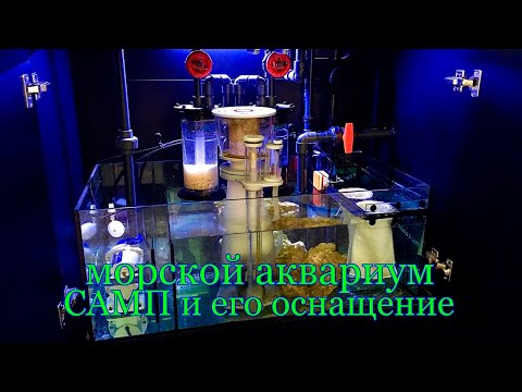 Видео: Морской аквариум САМП и его оснащение