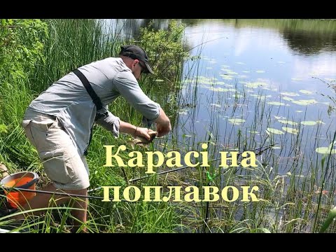 Видео: КАРАСІ ВЛІТКУ без підсака- ніяк!!! Наживка в спеку