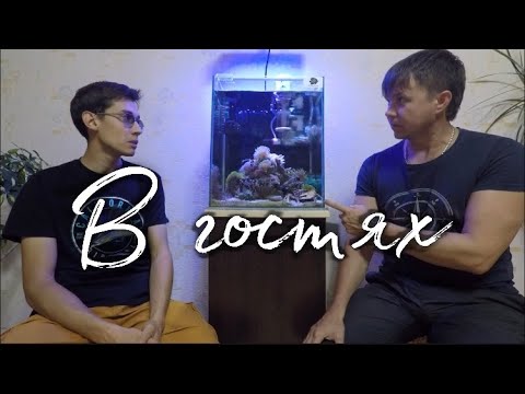 Видео: В гостях у морского аквариумиста | Нано-риф