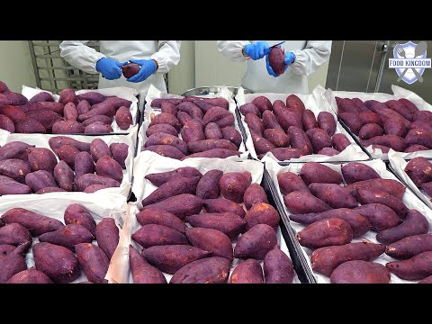 Видео: Интересный и уникальный хлеб?! Видеоколлекция корейских десертов