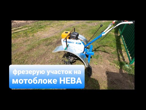 Видео: Фрезерую почву на участке мотоблоком нева мб 2.