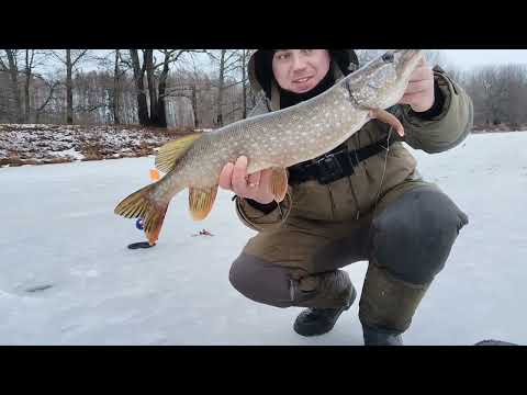 Видео: оставил ЖЕРЛИЦЫ на ночь) Вот это клев!!! наловил ЩУК И ПЛОТВЫ!!!