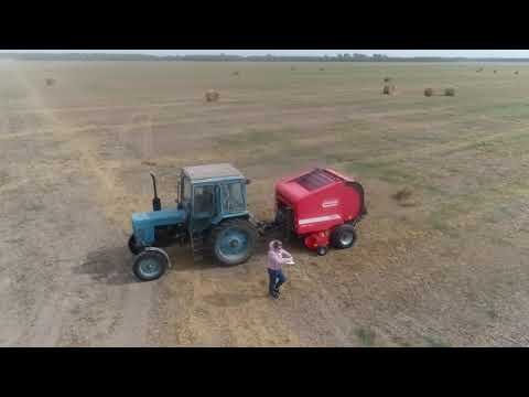 Видео: Пресс подборщик MASCHIO на Алтайской МИС август 2020 год