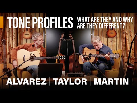 Видео: «Есть ли у разных производителей гитар заводской звук?»