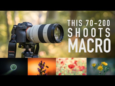 Видео: Sony 70-200 f/4 Macro для съемки природы и пейзажей!