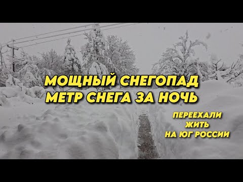 Видео: 1058 Как мы пережили стихию без связи и электричества/Юг России в снегу/Жизнь в Белореченском районе