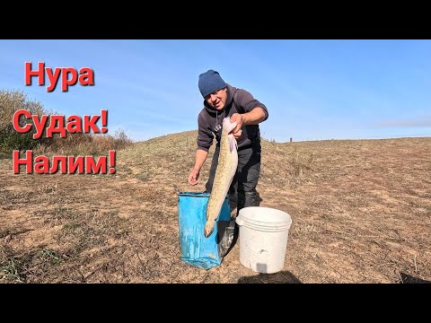 Видео: ЗАВЕРШАЮЩАЯ РЫБАЛКА НА НУРЕ!!! НО ЭТО НЕ ТОЧНО!!!