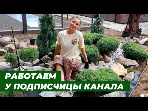 Видео: Посадка газона. Устройство рокария. Площадка из натурального камня.