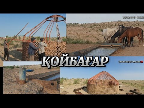 Видео: Қойбағарға үй көшіру |  Қой ауыл |  Қарақалпақстан / Тахтакөпір