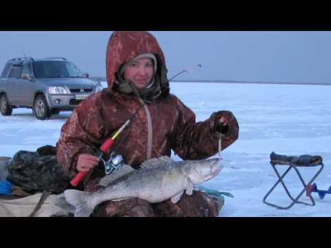 Видео: Уловистая блесна на судака. Как она работает. Юрий Философ. 2015 год.