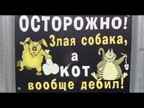 Видео: Лютые объявления. Мегаподборка с канала Макс Максимов. Осторожно злая собака, а кот вообще ДЕБИЛ !!!