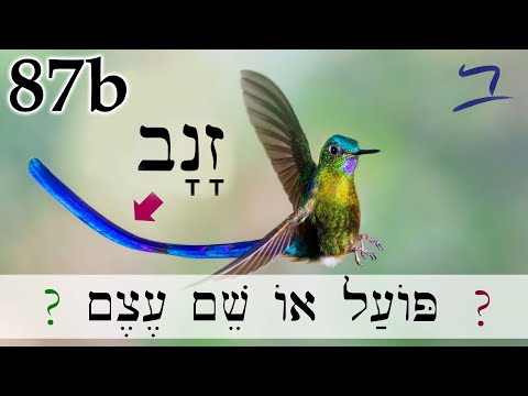 Видео: Библейский иврит – обзор словаря: глагол или существительное? - Урок 87б