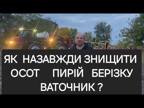 Видео: ЧОМУ САМЕ ЗАРАЗ  ТРЕБА ЗНИЩУВАТИ, А ВЕСНОЮ БУДЕ ВЖЕ  ПІЗНО, як за 1 раз побороти осот берізку ПИРІЙ 