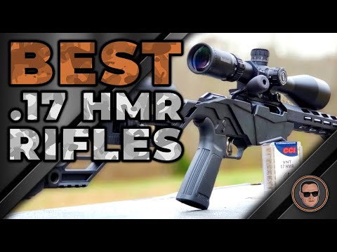 Видео: Лучшие винтовки .17 HMR 🔫: обзор | Gunmann