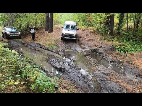 Видео: На нивах в золотую осень