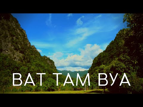 Видео: Медитирую с буддийскими монахами в монастыре Ват Там Вуа / Wat Tam Wua meditation experience