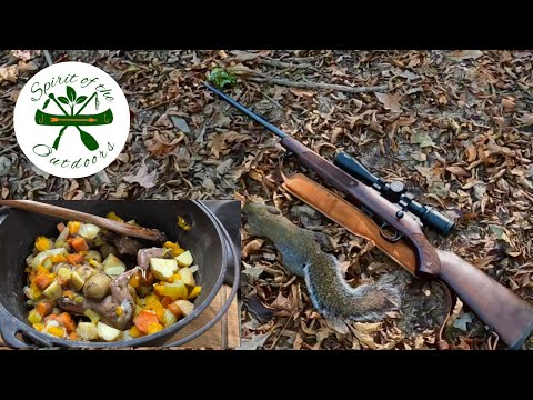 Видео: Охота на белок и их приготовление в голландской печи