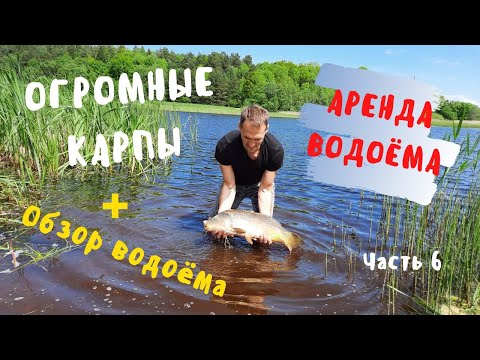 Видео: ЗАПУСКАЕМ ОГРОМНЫХ КАРПОВ | ОБЗОР ВОДОЁМА | Аренда водоёма возле деревни Ковалевичи | Часть 6