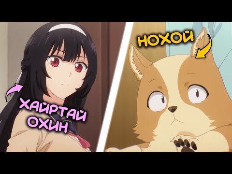 Видео: ХАЙРТАЙ ОХИНЫХОО НОХОЙ БАЙСАН БОЛ ЯАХ УУ?