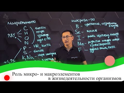 Видео: Роль микро- и макроэлементов в жизнедеятельности организмов. 7 класс.