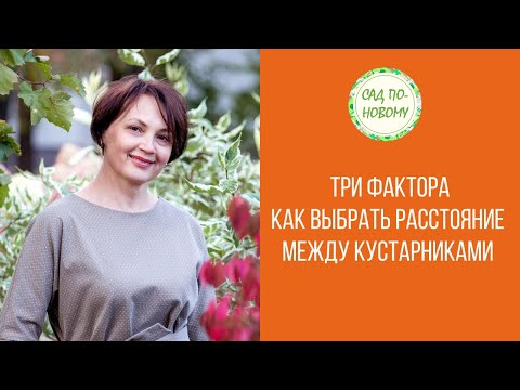 Видео: Как выбрать расстояние между кустарниками