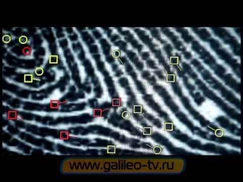 Видео: Галилео. Криминалистика 2. Дактилоскопия (ч.2)