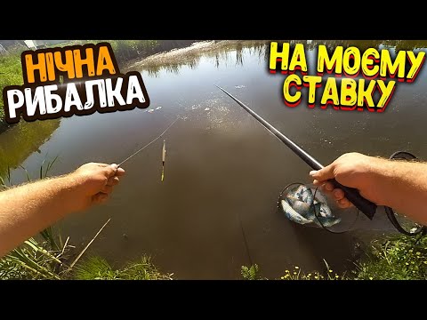 Видео: Нічна риболовля на власному ставку