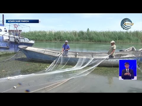 Видео: Село Куйган Балхашского района в народе называют рыбацкой деревней