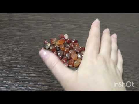 Видео: Быстрое гадание на бобах