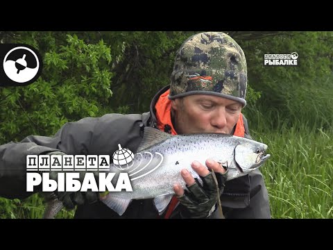 Видео: Рыбалка на Камчатке. Чавыча | Планета рыбака