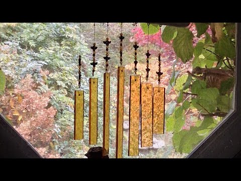 Видео: Астрология от 3 ноября 2025 года: проблемы в отношениях, время для интерпретационного танца...