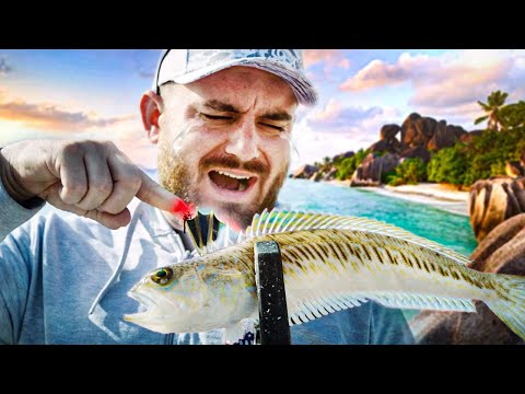 Видео: НЕ ПИПАЙ! Тази риба ще ВИ ВКАРА В БОЛНИЦА! Light Rock Fishing. Морски лайт риболов в Гърция