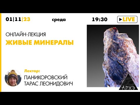 Видео: Лекция Тараса Паникоровского "Живые минералы"