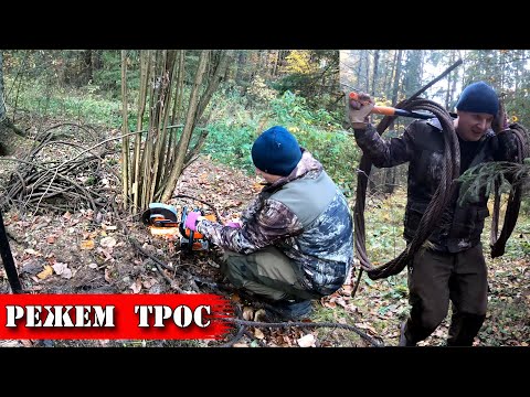 Видео: Нашел царскую монету и пачку стального троса в лесу. Коп 2019