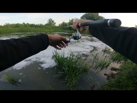 Видео: Street Fishing.Річка Стир ловля на кренк