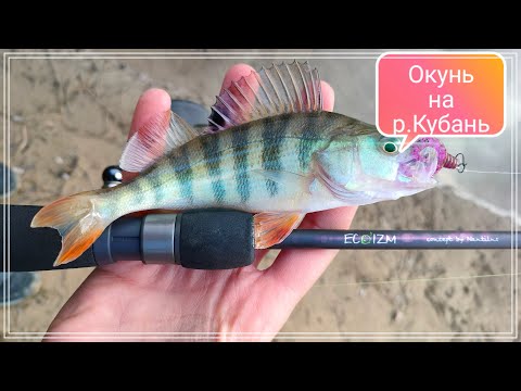 Видео: Ловля Окуня на р.Кубань и её окрестностях в сильную жару.