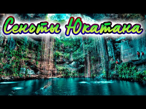 Видео: Мексика. Природа Юкатана. Что такое сеноты и кто в них обитает