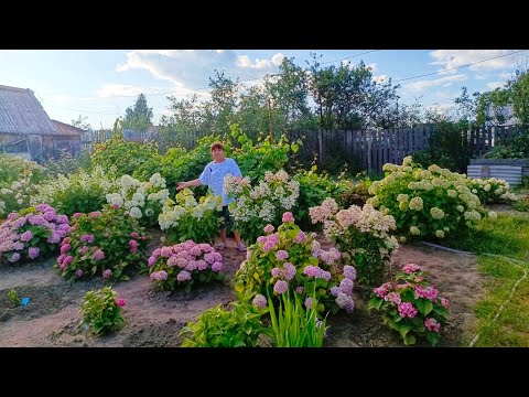 Видео: Огород в цветах 🌹мы в гостях, хозяйка...