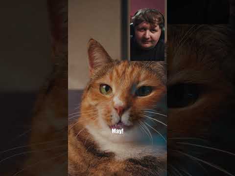 Видео: Мау? Мау Мау! І ви все мау мау, якщо поторгуєтесь на monoмаркеті. #мономаркет #монобанк