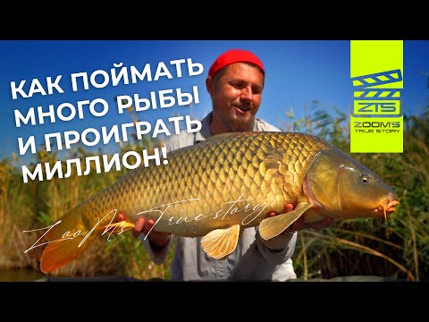 Видео: Как поймать много рыбы и проиграть миллион / ZooM’s True Story