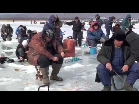 Видео: "На рыбалку пойду"! - прикольный клип с превращением русалки в морскую звезду.